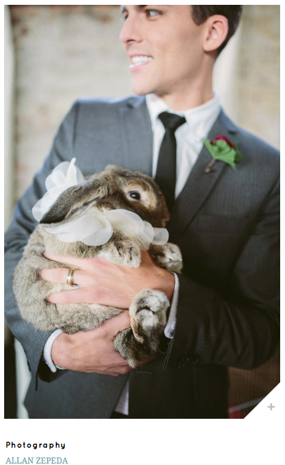 really, if he's willing to cuddle your rabbit, odds are good he's Mr Right
